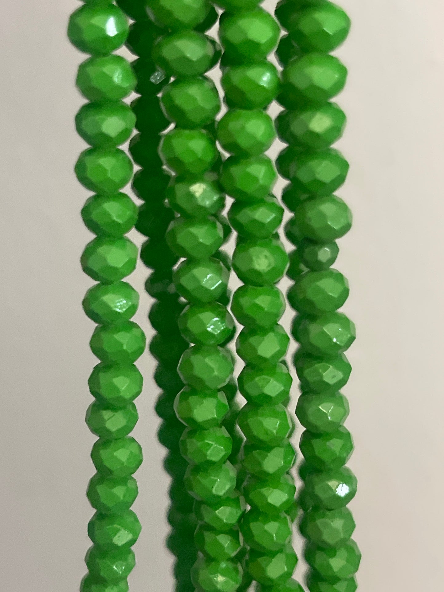 Collana “ASINI”